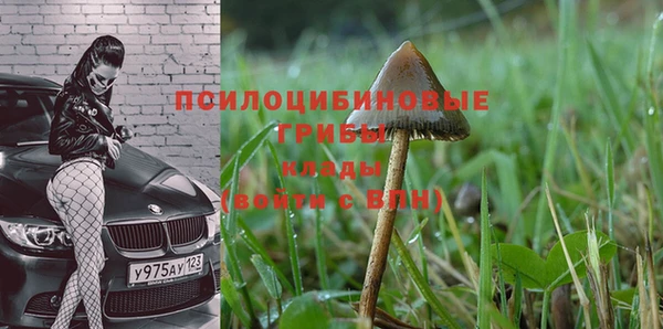 СК Абинск